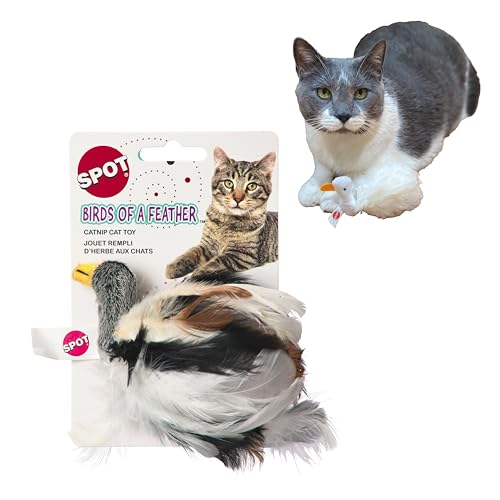 SPOT Birds of a Feather Catnip Toy for Cats – Interactive Plush Toy for Swatting, Pouncing, and Chasing – 6in, Assorted Styles
