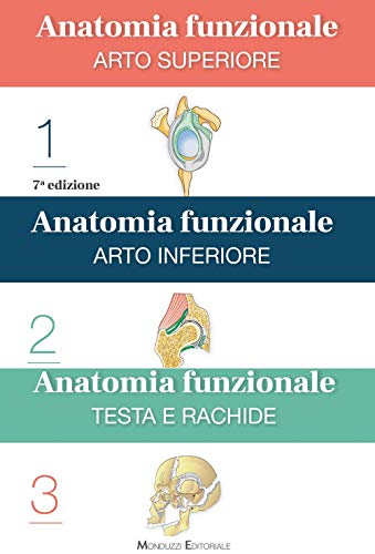  Anatomia funzionale