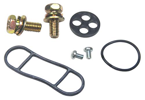 Kit de reparación de gasolina para carburador Kawasaki RW 0105-009 repuesto motor