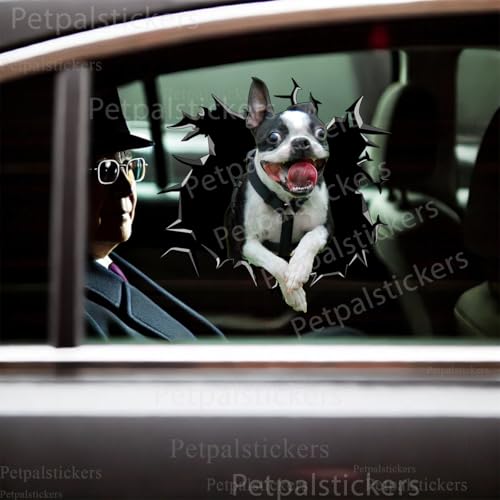 Image of Vinyl Dog Sticker Car Decal, Boston Terrier | For Women, Dog Lover Gift