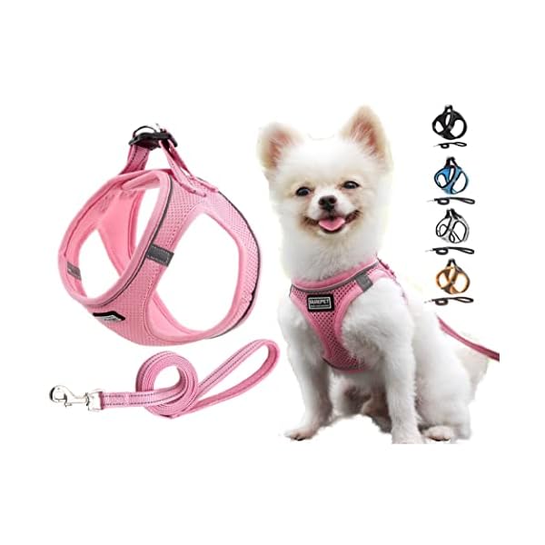 JdotMIN No Pull Cat and Dog Harness and Leash Set, for Extra Small to Small Breed, Lightweight Breathable Reflective Strips, Walking Escape Proof Soft Kitten Puppy Harness, Easy Control, Step In Pet Vest Jacket (Pink, S) JdotMIN No Pull Cat and Dog Harness and Leash Set, for Extra Small to Small Breed, Lightweight Breathable Reflective Strips, Walking Escape Proof Soft Kitten Puppy Harness, Easy Control, Step In Pet Vest Jacket (Pink, S)