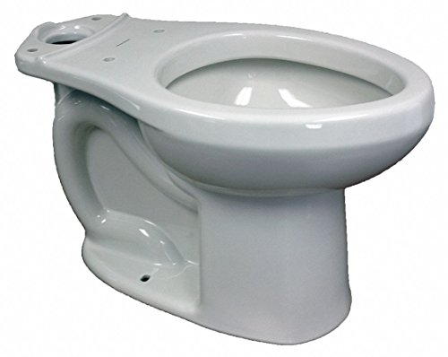 Toilet Bowl, Floor, Elongated, 16-1/2 in H