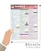 Physics Terminology: QuickStudy Laminated Reference Guide (Quick Study Academic)