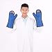 X-ray Protective Gloves for Veterinary,0.5mmpb,Radiation Safety Leaded Gloves for X-Ray MRI CT Radiation Protection-Vet Mitts