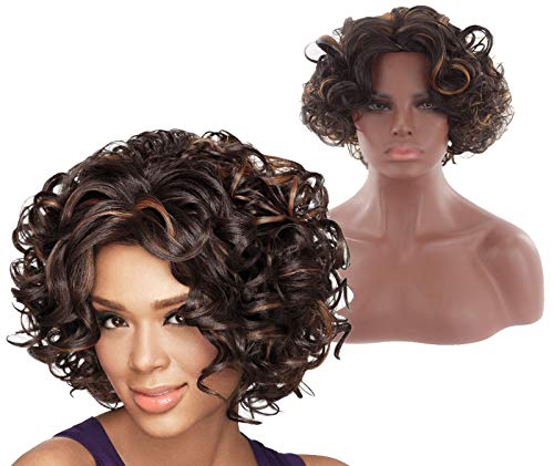 JISTL Wigs For Women Afro Curly Wig Short Kinky Fluffy Wavy Wig Heat Resistant Synthetic Hair Looks Natural (B&B3311)