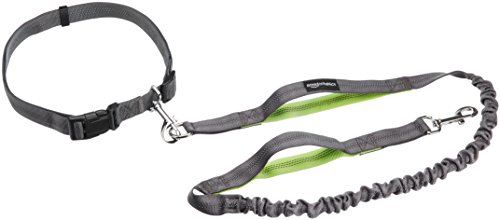 AmazonBasics Run Belt and Bungee Dog Leash