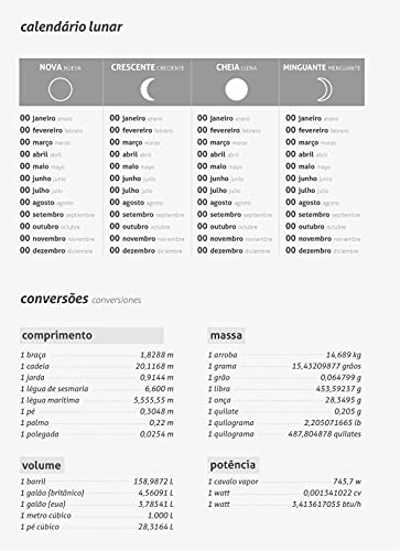 Caderno Executivo CD 104 Folhas 1 Matéria Executive Office Collection, Jandaia