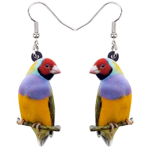Boucles d'oreilles oiseau en acrylique coloré pour femmes