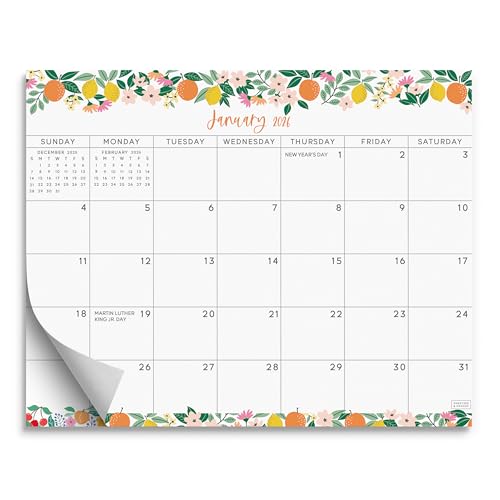 S&O Fruity 2026 Magnetic Fridge Calendar - Tear-Off Refrigerator Calendar to Track Events & Appointments through December 2026-18 Month Magnetic Planner for Fridge for Easy Planning - 8'x10' in.