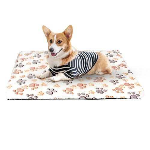 ���Ȕ��M�L�x�b�h | �f�M�~�p����~�߃u�����P�b�g,�y�b�g�p�q�[�^�[�p�b�h �������L�x�b�h | �q���p�����p�������O���r���O���[���Q���o���R�j�[�\�t�@�P���l������V���Ή�