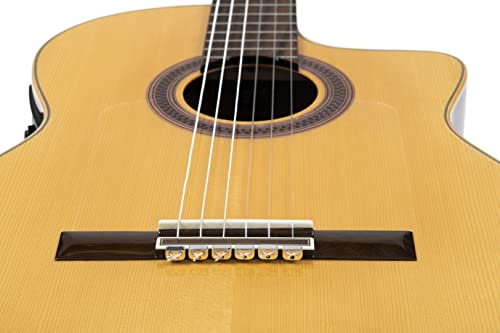 Retenedores de metal plateado para guitarra flamenca clasica acústica eléctrica ukulele plateados Cover