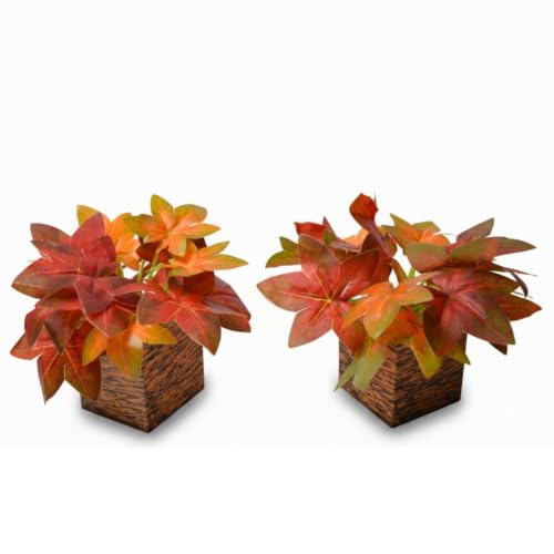 Image of DecoreBugs Artificial Real Touch Flower Plant with Pot (Pack of 2), 16 cm Height, Decorative Faux Floral Plant for Home, Office, Living Room, Bedroom, Table & Shelf Decor