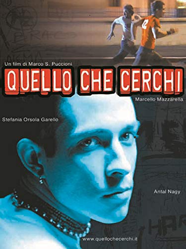  Quello che cerchi