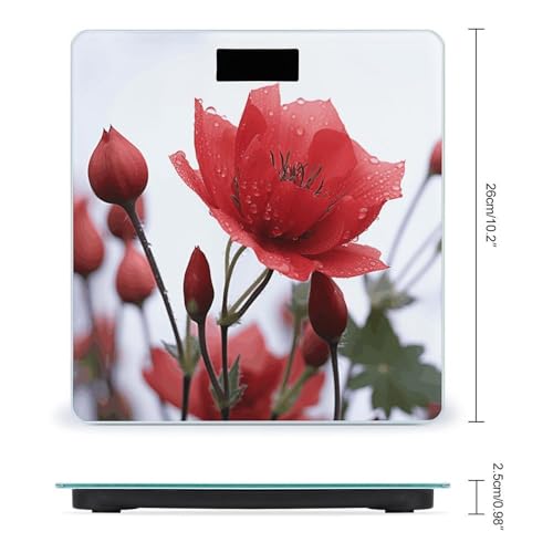 Balanza Digital para Baño con Pantalla LCD Grande miniatura 2