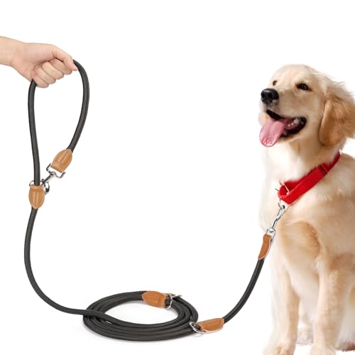 PETCOOZ Correa para Perros Doble Enganche, Correa Perro 3 m Ajustable de Adiestramiento, Negro