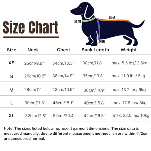 Rollkragenpullover für Dackel-Hunde – Warme Winterkleidung für Dackel, Winteroutfit für Teckel (Grün, XS)