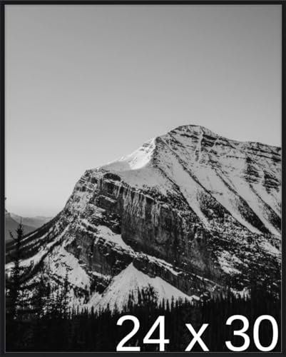 Frame It Easy 24 1/4 x 30 1/4 Satin Black Metal Frame (Ashford) 24.25x30.25 inches