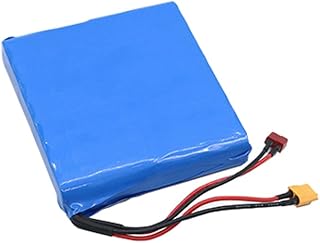 WILLQ Lithium Ion Battery 60V 2200mAh Ebike Battery With BMS Electric Bicycle Replacement Battery Pack Rechargeable Battery