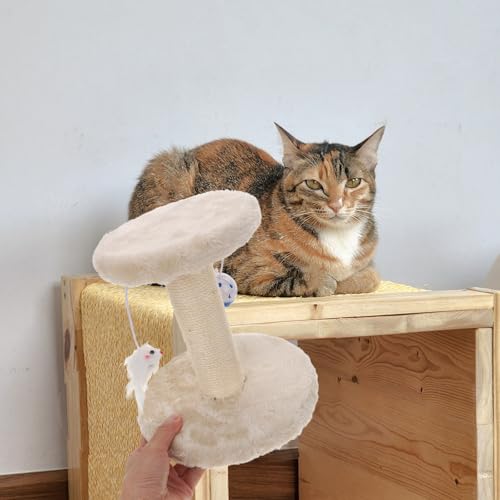 Rascador para gatos torre con bolas colgantes y tablero de sisal beige miniatura 4