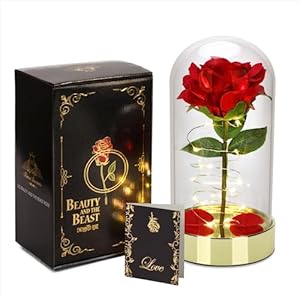 HOMESEASONS Glass Dome Red Rose Gift for Women Birthday Gift – Pre-Lit Red Velvet Rose in Glass Dome