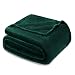 Exclusivo Mezcla Luxury Queen Size Flannel Velvet Plush Solid Bed Blanket as Bedspread/Coverlet/Bed Cover (90" x 90", Forest Green) - Soft, Lightweight, Warm and Cozy