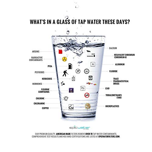 Epic Water Filters | Replacement Everyday Bottle Filter | 4-Month | 75 Gal | Removes Lead, Chlorine, Voc, Tthms, Iron, Pesticides, Pharmaceuticals, Pfoa, Pfos #TOP4