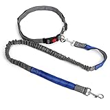 FANQIECHAODAN Einziehbare Hands Free Nylon Hundeleine mit Bungees für kleine und mittlere Hunde, Verstellbarer Hüftgurt, zum Laufen Wandern Wandern