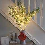 Verschönern Sie jede Ecke – geschmückt mit 20 weichen, warmweißen LEDs pro Zweig, mischen sich diese sanft in ihr grünes Laub mit 60 LEDs pro Packung. Diese Zweiglichter funktionieren hervorragend, wenn sie im Haus platziert werden, für einen zusätzlichen Glanz. Ideal für zu Hause oder als Hochzeitsdekoration. Stellen Sie die Zweige in eine dekorative Vase, um einen Hauch von Eleganz hinzuzufügen oder verwenden Sie sie als Teil eines bereits vorhandenen Displays, um seine Schönheit zu verbessern