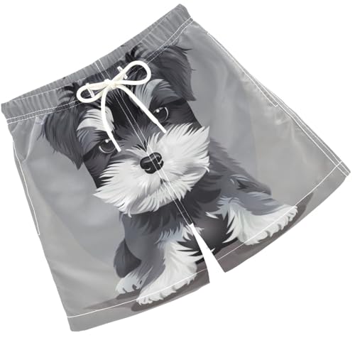 Pigsaly Boys Swim Trunks Grey Schnauzer Dog Boys Board Shorts Swimsuit Swimwear Summer Bathing Suit 2T