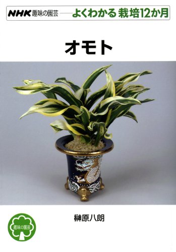 PDFダウンロード オモト (NHK趣味の園芸 よくわかる栽培12か月) バイ