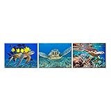 Hello Artwork 3 Pieces Canvas Wall Art Blue Sea Turtle Swimming Ocean Living Series Animal Pictures...