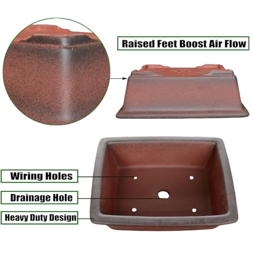 MUZHI Decorative Ceramic Bonsai Planter Pot 8.5 Inch with Tray, Breathable Unglazed Rectangle Terracotta Clay Pot for Tree Succulent Cactus Indoor Outdoor Red Brown by MUZHI - Image 3