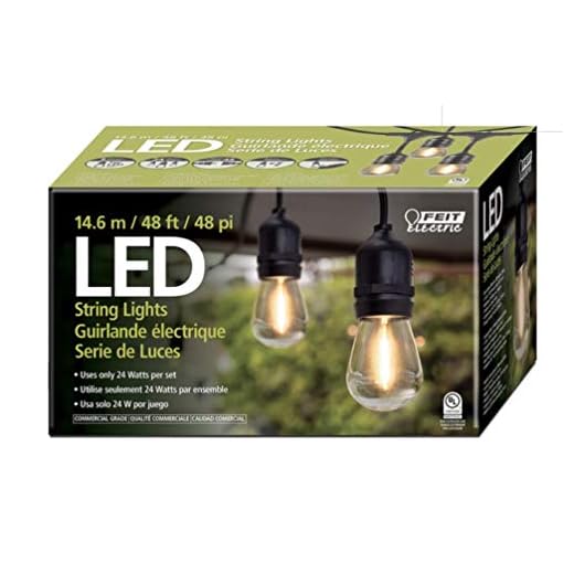 Feit Electric 48' LED Filament String Light Set