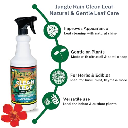 Limpiador Natural para Hojas Jungle Rain Clean Leaf 32 oz miniatura 2