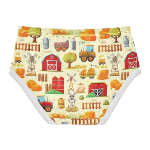 Joisal Colorful Farm Life Beige Cartoon Toddler Underwear Floral 2t Cotton Little Girl Panties Designer Briefs Kids Undies2