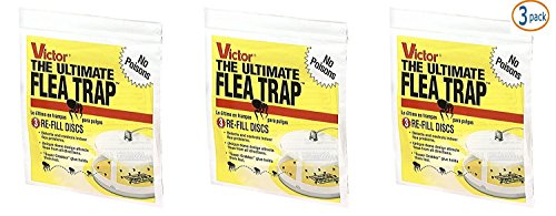 Safer Brand SYNCHKG107272 Victor M231 Ultimate Flea Trap Packs of 3 Refills Repel-pe, Yellow Safer Brand SYNCHKG107272 Victor M231 Ultimate Flea Trap Packs of 3 Refills Repel-pe, Yellow