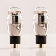 Antique Design: Its antique "guard" shape structure which allows a good power dissipation Material:The Gold-plating tube's feet are corrosion and oxydation resisting,this feature makes it have better contacting and electric conduction. Double Triode:...
