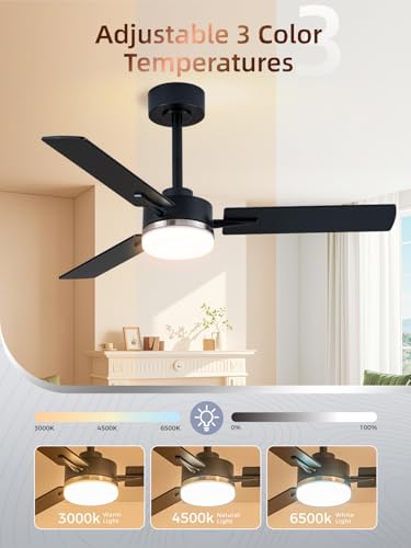 Image of LANMEL Ceiling Fan with Light, Modern Flush Mount Low Profile with Remote Control, Reversible, 3CCT Dimmable, Quiet,LED for Bedroom, Living Room, Indoor /Outdoor Patio Use 42 Inch Silver & Black