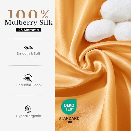 Image of THXSILK 100% Pure Mulberry Silk Pillowcase for Hair and Skin, 25 Momme Zipper Silk Pillow Case Standard Size, Gift Box, Real Silk Pillowcase with Zipper (Bronze, Queen 20 inchx30 inch)