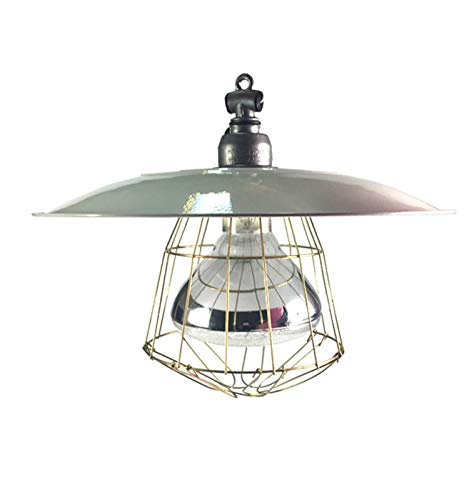 cjcaijun Contrôle de la température 1PCS Aquaculture Isolation Ampoules antidéflagrante métal Abat Chauffage Ampoules Protection Contre Les Explosions Pig matériel d'élevage Lampe de Chaleur Reptile