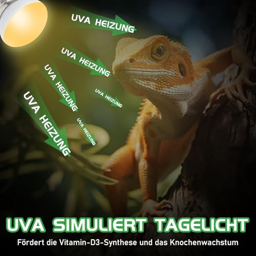 REPTI HOME Terrarium Basking Spot Wärmelampe, Reptilien Wärmelampe Daylight 25W 2 Stück, E27 Reptilien Heizung Lampe for Bartagame, schildkröte, Eidechse