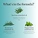 Rosemary Tea Tree Mint Shampoo - Clarifying Shampoo for Build Up and Flakes with Deep Cleansing Peppermint Oil and Tea Tree Essential Oil for Dry Scalp Treatment - Paraben & Sulfate Free (8oz)