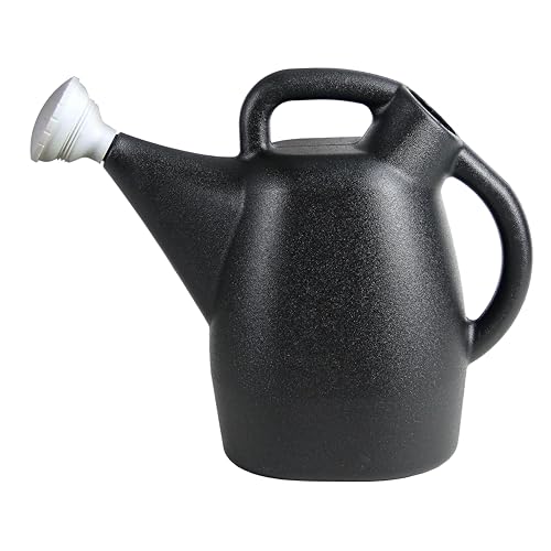 Chapin 47998 Watering Can, 2 Gallon, Indoor and Outdoor Plants,