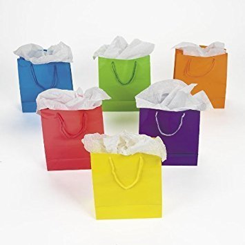 Fun Express Medium Neon Gift Bags, 2-Dozen, 9-Inch Tall