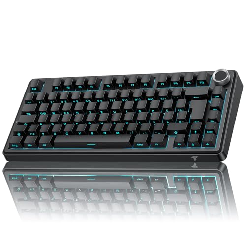 TECURS 75% Gaming Tastatur Kabellos, DREI-Modus 2.4GHz/BT5.0/Type-C RGB Rote Schalter Mechanische Tastatur, Hot Swap, Seitliche Gravur PBT-Tastenkappen mit Drehknopf, QWERTZ (Schwarze)