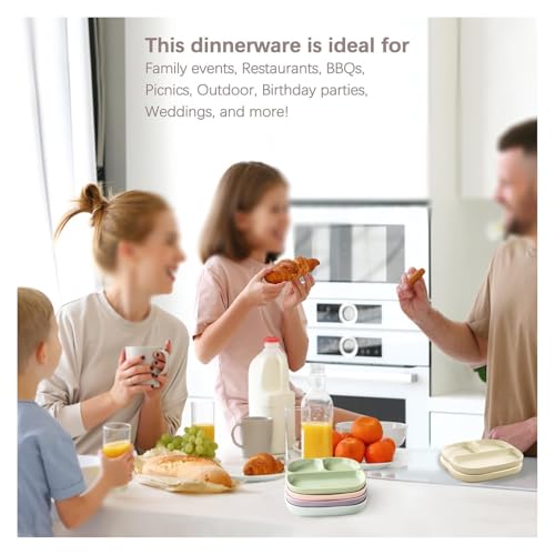 Piatti piani divisi, vassoio in ceramica con scomparti per controllo delle porzioni, ideale per servire dessert e insalate