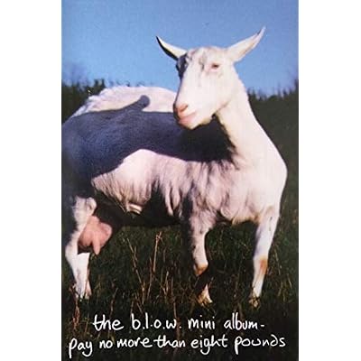 Man And Goat Alike