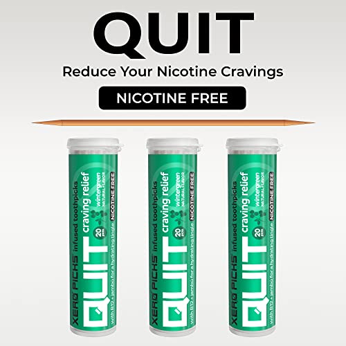 Image of Xero Picks Infused Flavored Toothpicks to Help Quit Smoking - Nicotine Free - 60 Picks - 3 Pack - Wintergreen - Non-GMO Kosher Vegan