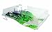 American Educational Spanish Water Cycle Model Activity Set
