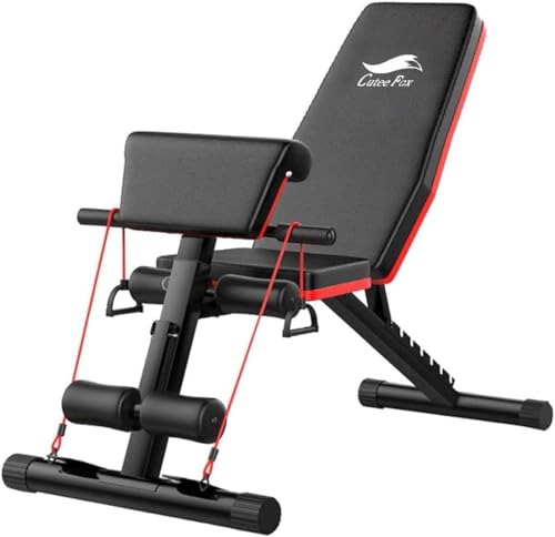 ????????? ???????????? ???? CuteeFox??????? ?????? ?? ?? ???? ??? ???? (?)